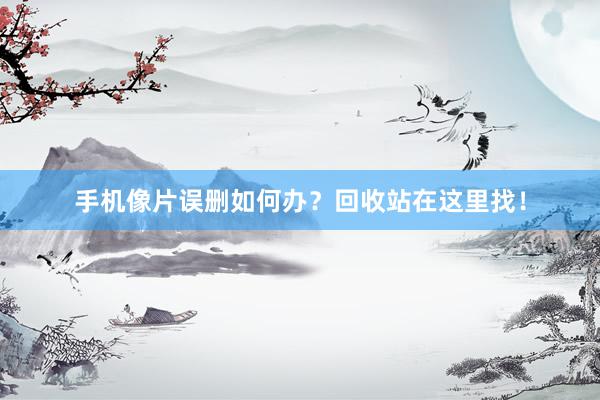 手机像片误删如何办？回收站在这里找！