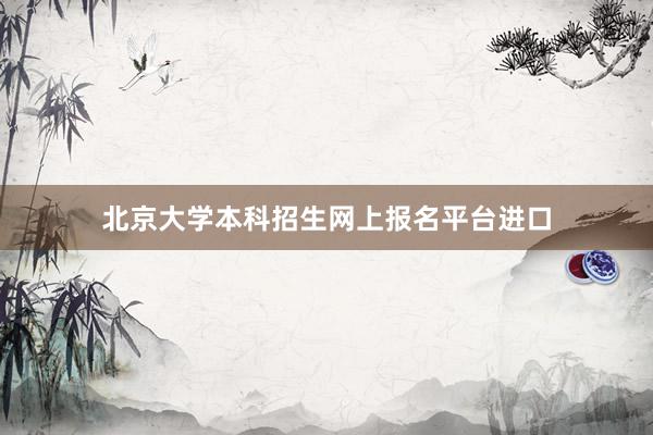 北京大学本科招生网上报名平台进口